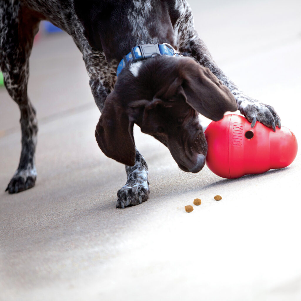 KONG Wobbler – Juguete para Perros
