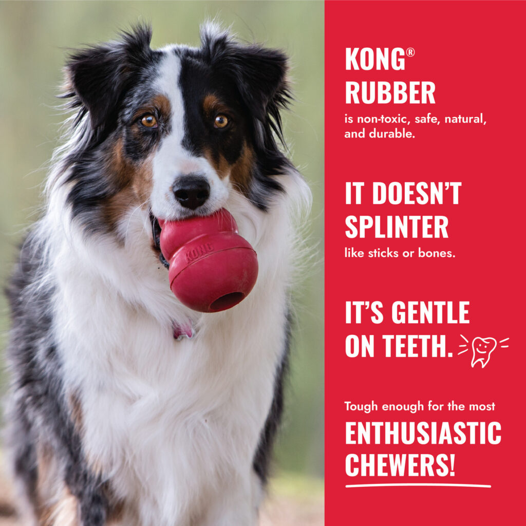 🐾 KONG Flyer – Disco para Perros