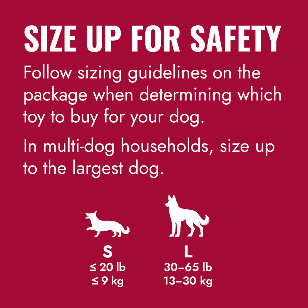 🐾 KONG Flyer – Disco para Perros
