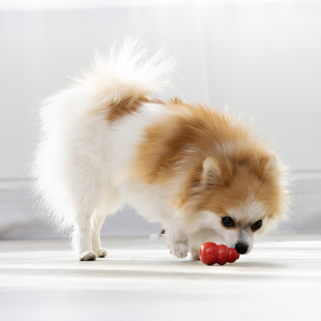 KONG Classic – Juguete para Perros