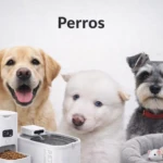 Perros