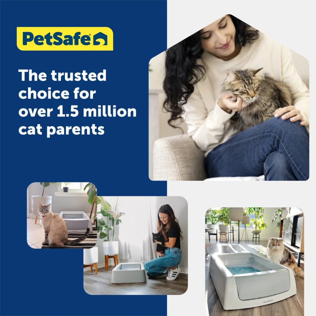 Repuesto PetSafe Lavanda (Pack de 3)
