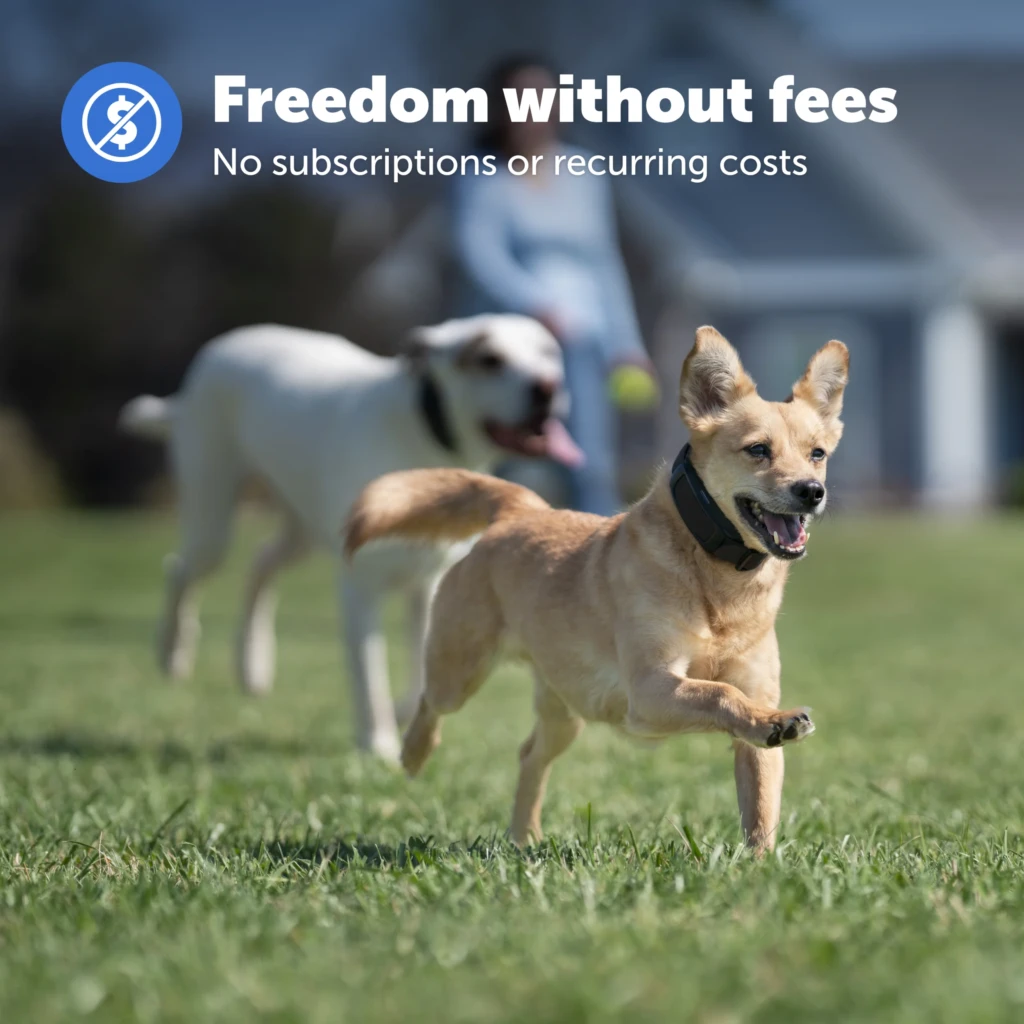 Valla GPS PetSafe Guardian