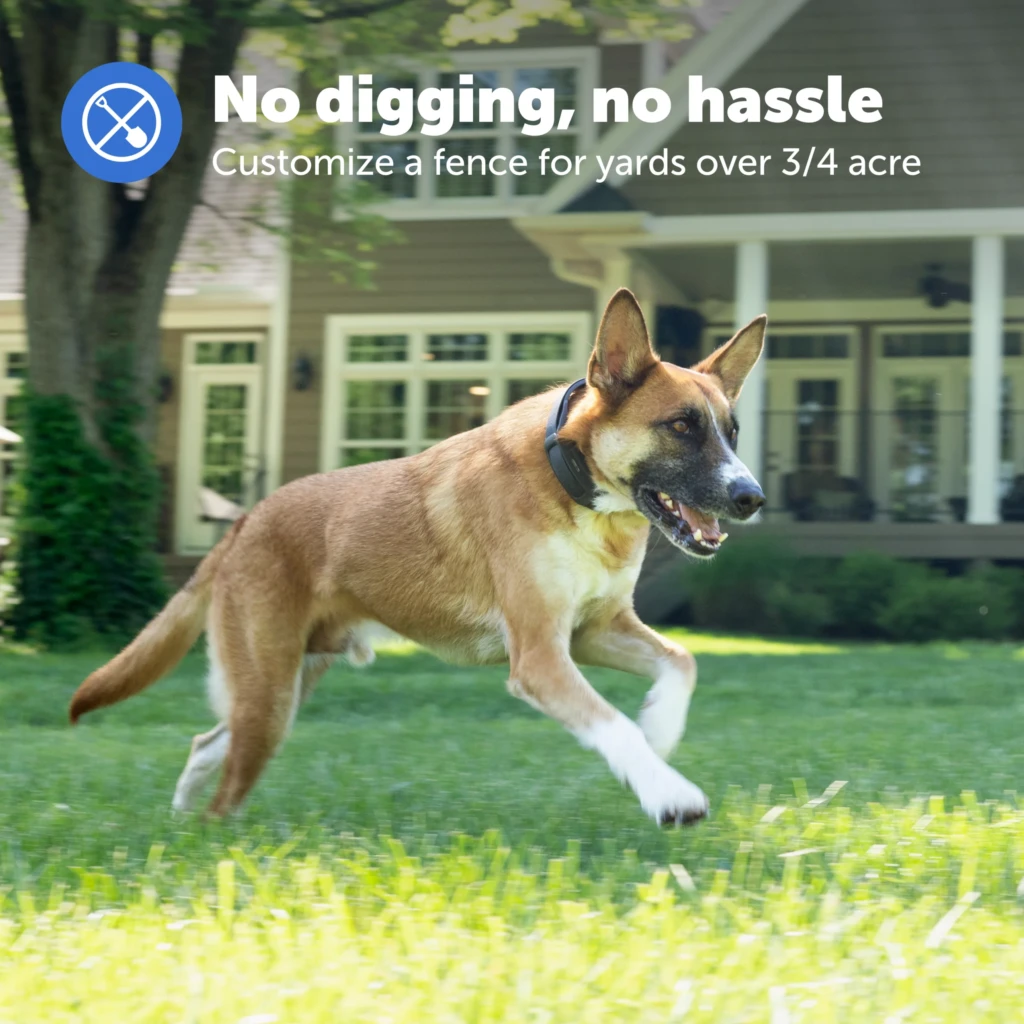 Valla GPS PetSafe Guardian