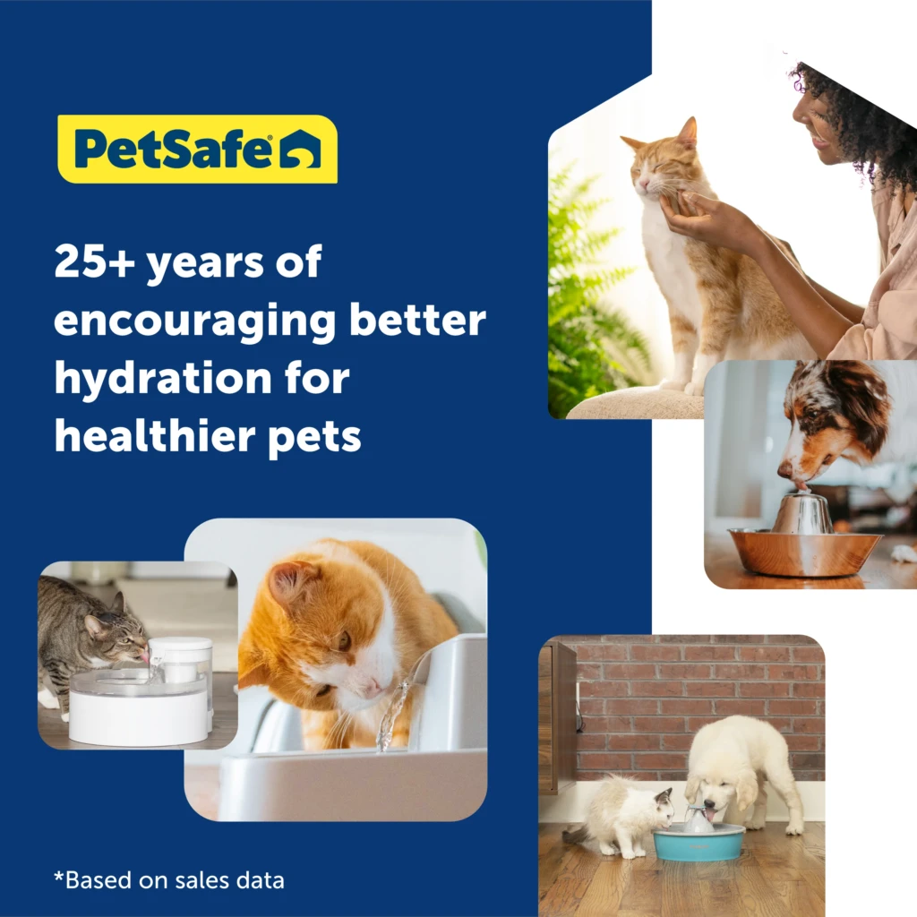 Fuente PetSafe Oasys 1.8L
