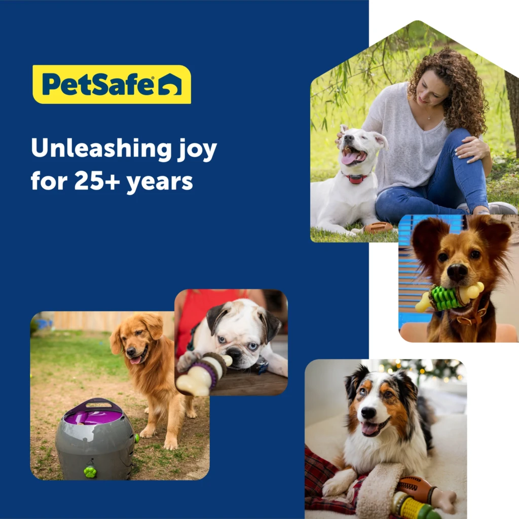 Lanzador de Pelotas Automático PetSafe