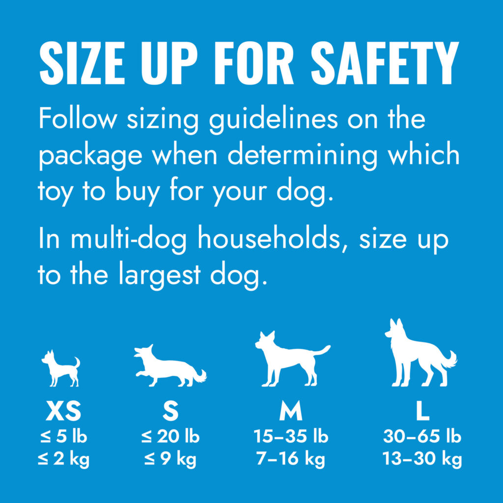 KONG Puppy – para Cachorros