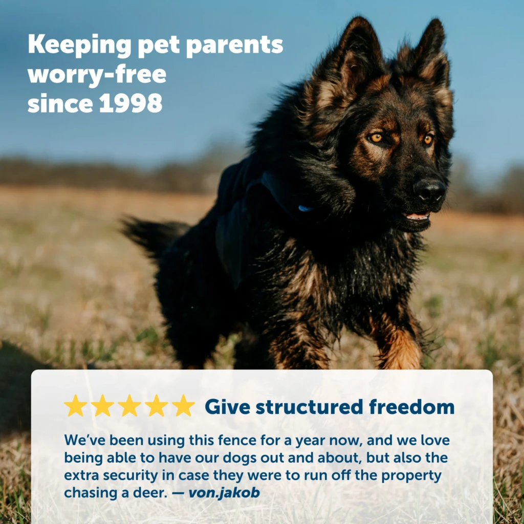 Valla PetSafe YardMax In-Ground